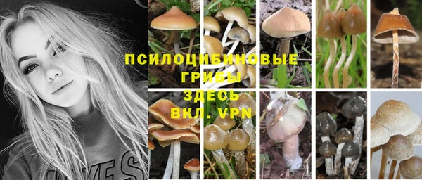 МДПВ Алексин