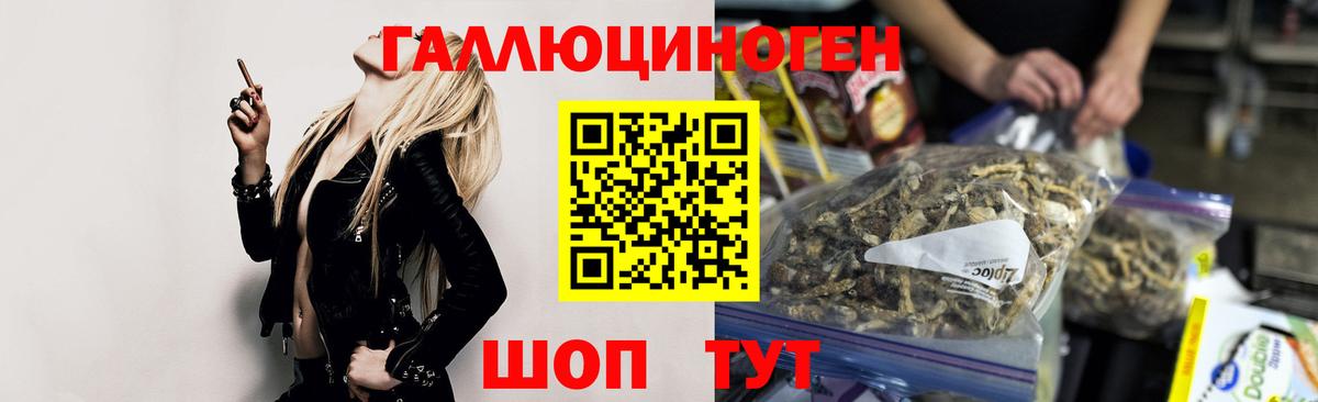 купить   Вход с VPN  Новосибирск  Галлюциногенные грибы мицелий 